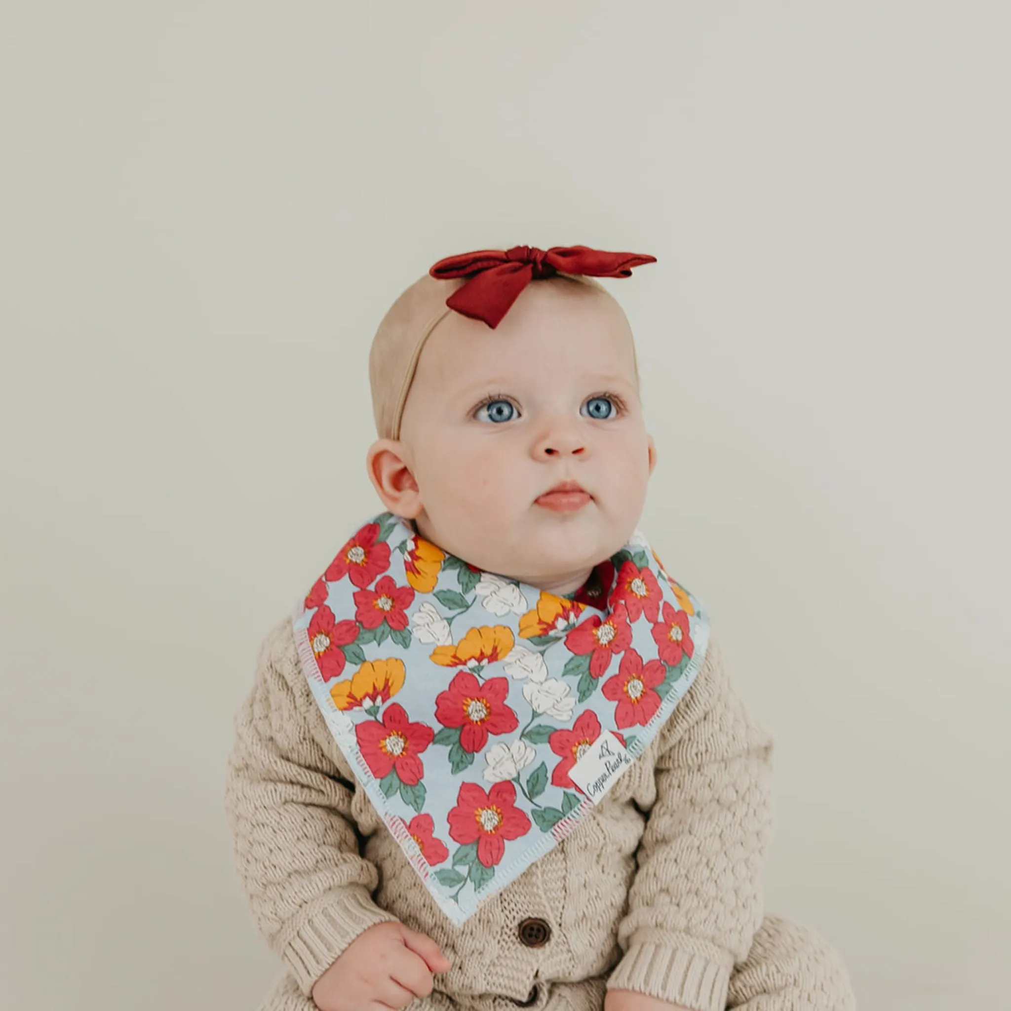Baby Bandana Bibs - Ivy