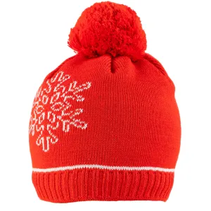 Bonmartin Womens Beanie 2020