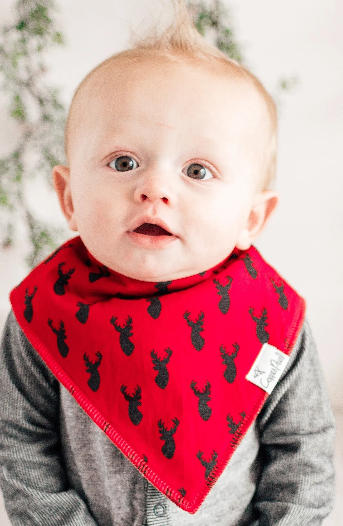 Copper Pearl Nicholas Bandana Bib Set