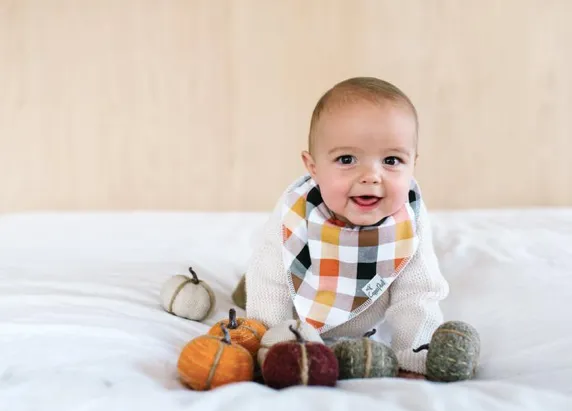 Copper Pearl Single Bandana Bib- Holiday
