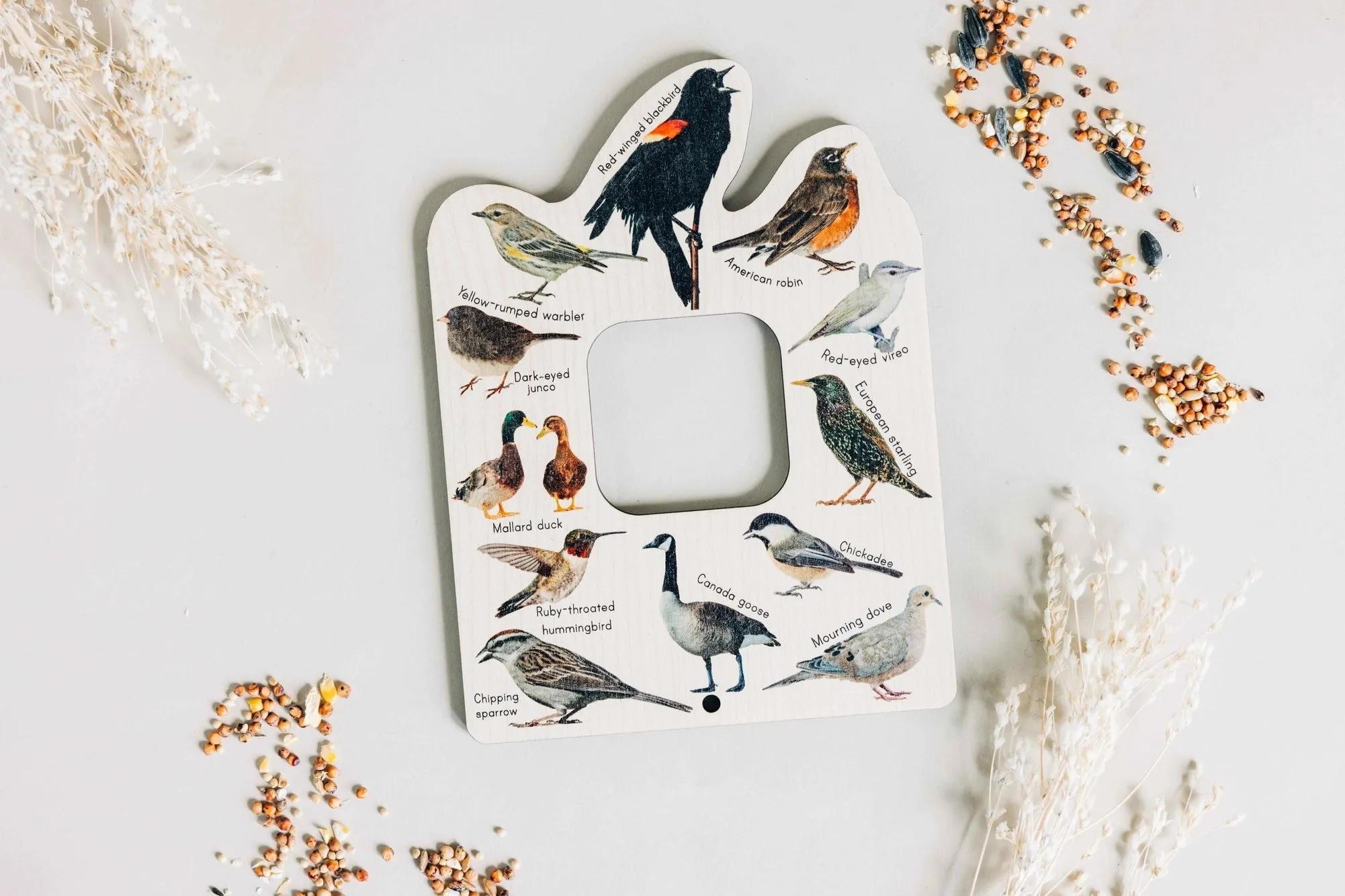 Double Sided Bird Explorer Window